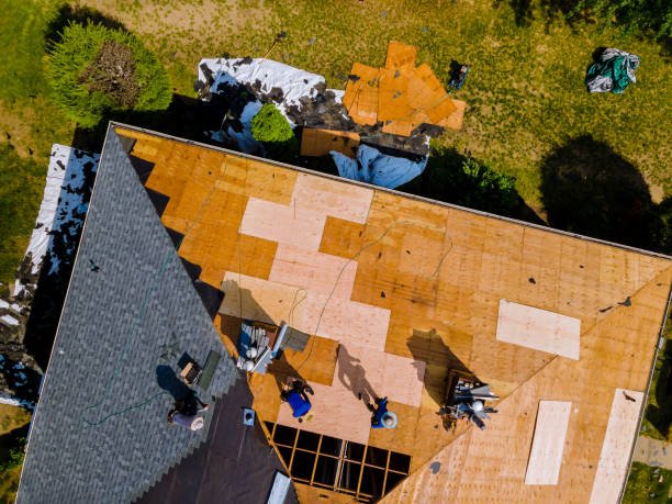 Best Metal Roofing Contractor  in Montpelier, ID